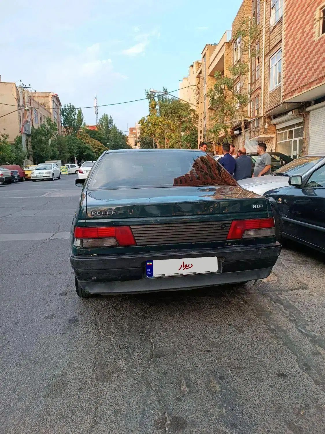 پژو آردی دوگانه سوز CNG - 1384