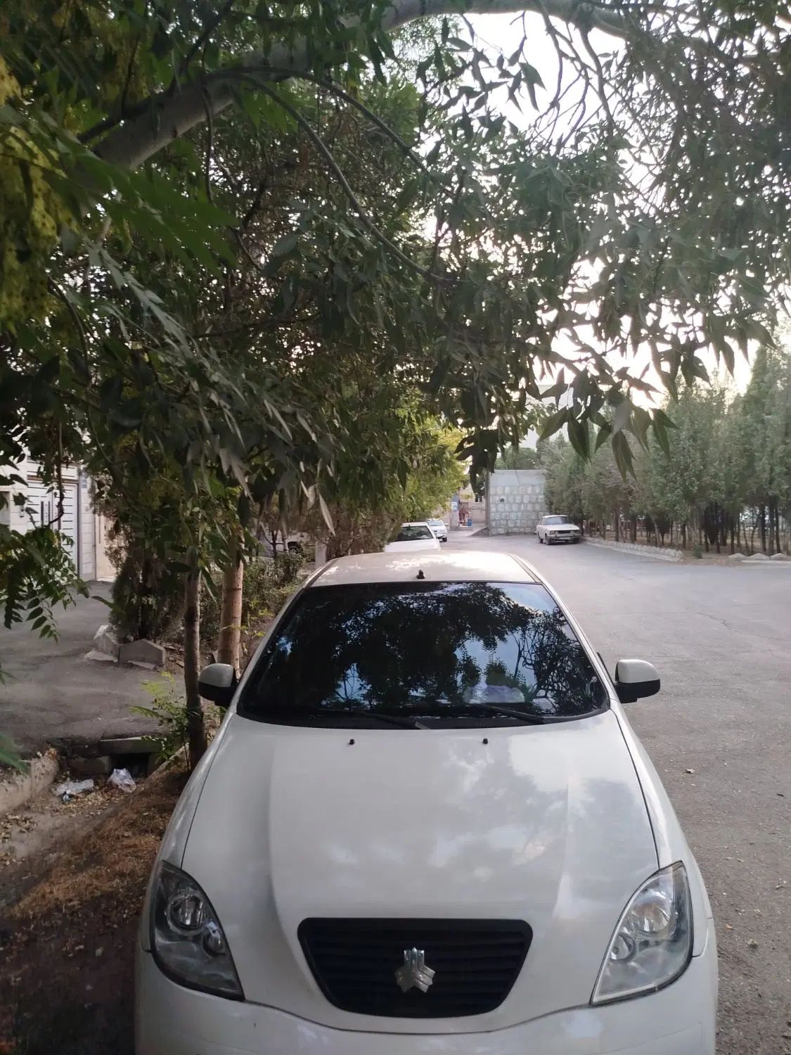 خودرو تیبا، صندوق دار آگهی ann_19921919