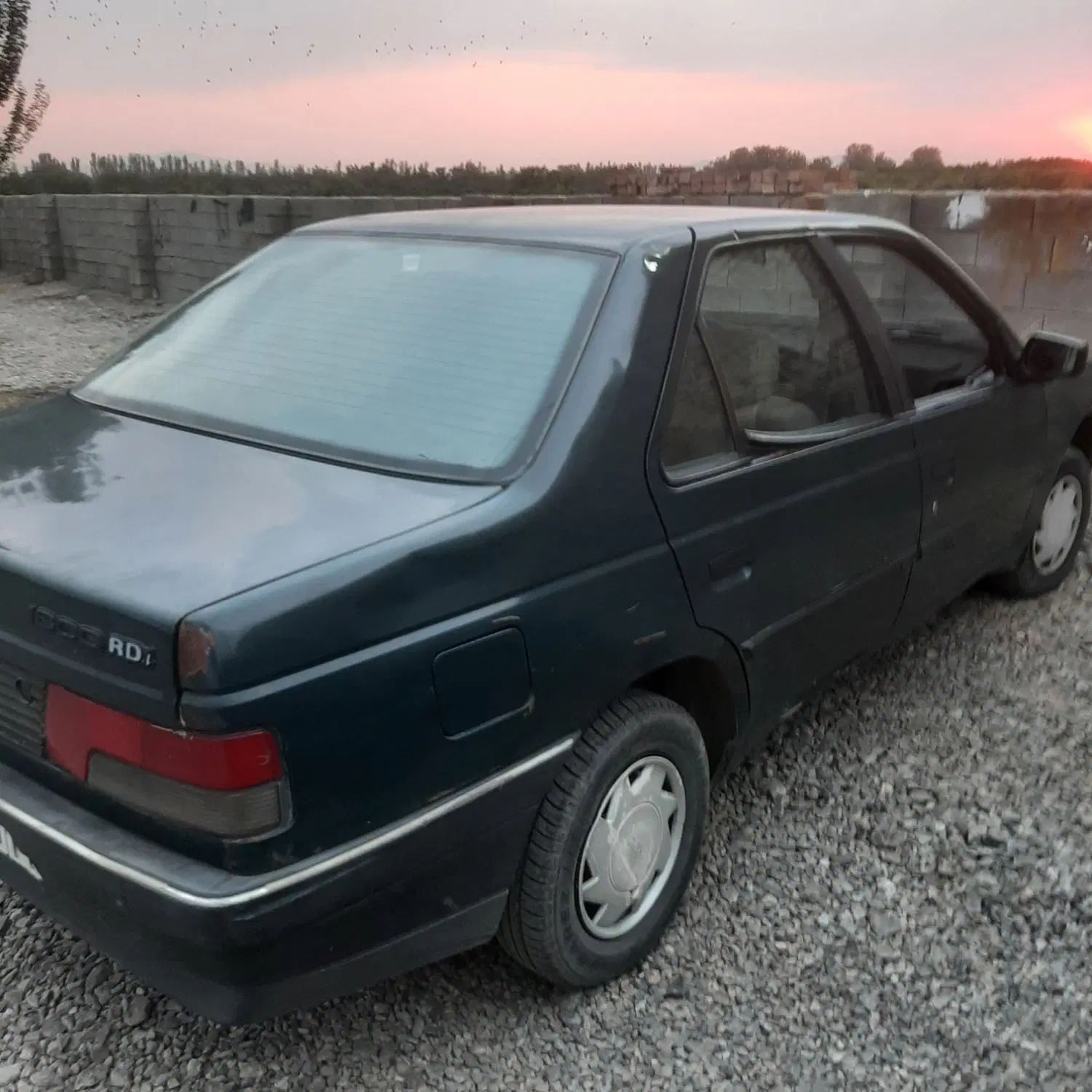 پژو آردی دوگانه سوز CNG - 1383