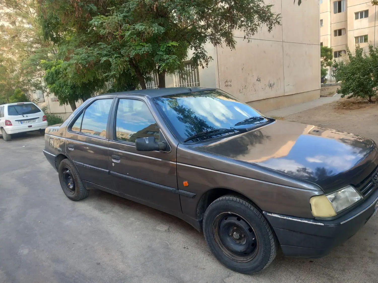 پژو روآ دوگانه سوز - 1387