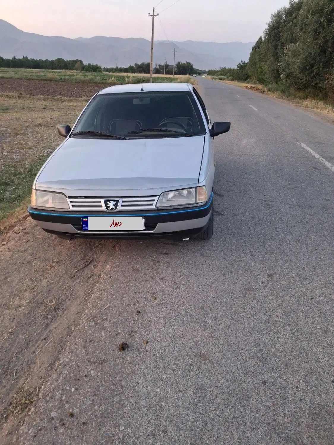 پژو 405 GLX - دوگانه سوز - 1392