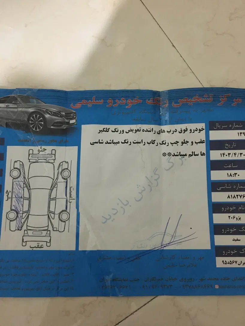 پژو 206 تیپ 2 - 1395