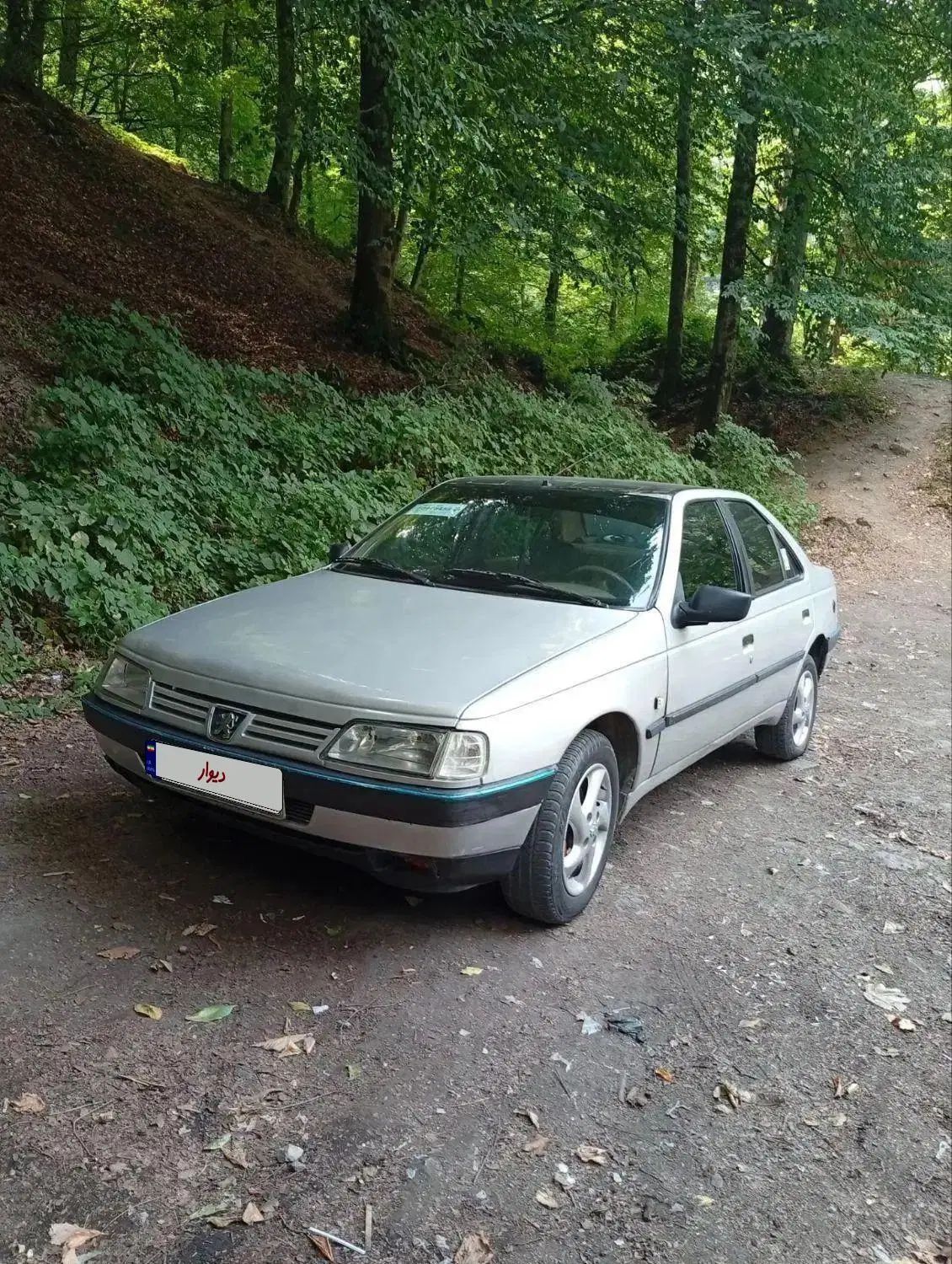 پژو 405 GLX - دوگانه سوز - 1389
