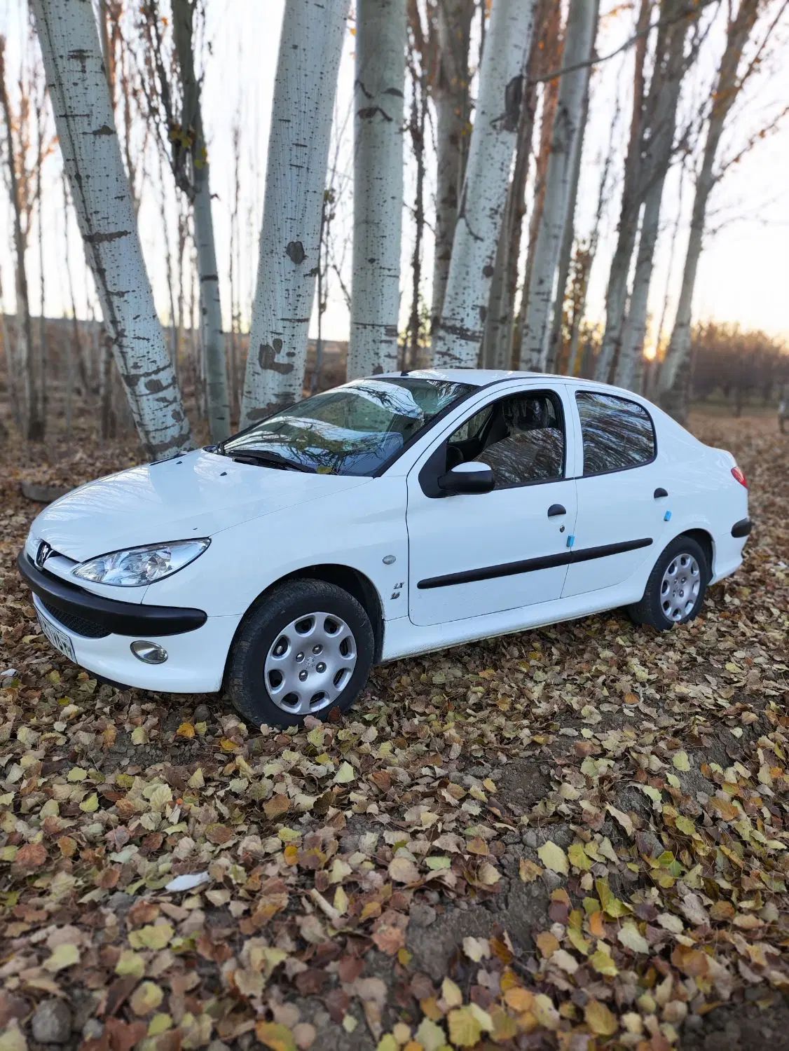 پژو ۲۰۶ صندوق دار v8 - 1399