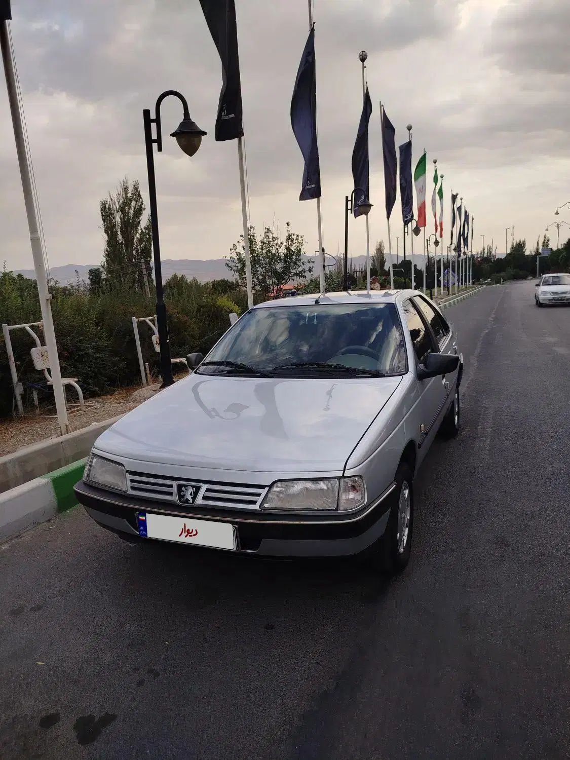 خودرو پژو، 405 آگهی ann_19925521