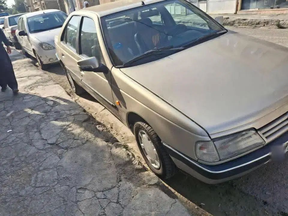 پژو 405 GLX - 1384
