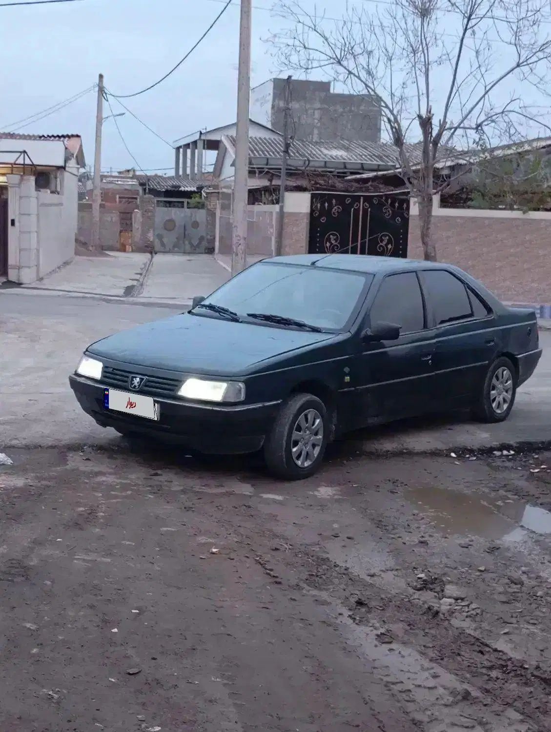 پژو آردی دوگانه سوز CNG - 1385