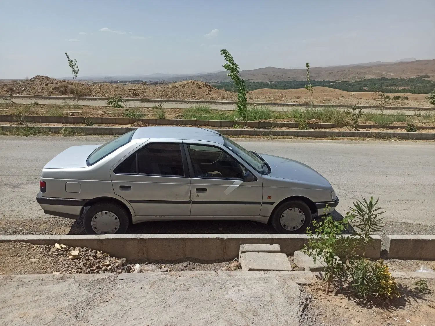 پژو 405 GLX - دوگانه سوز - 1393
