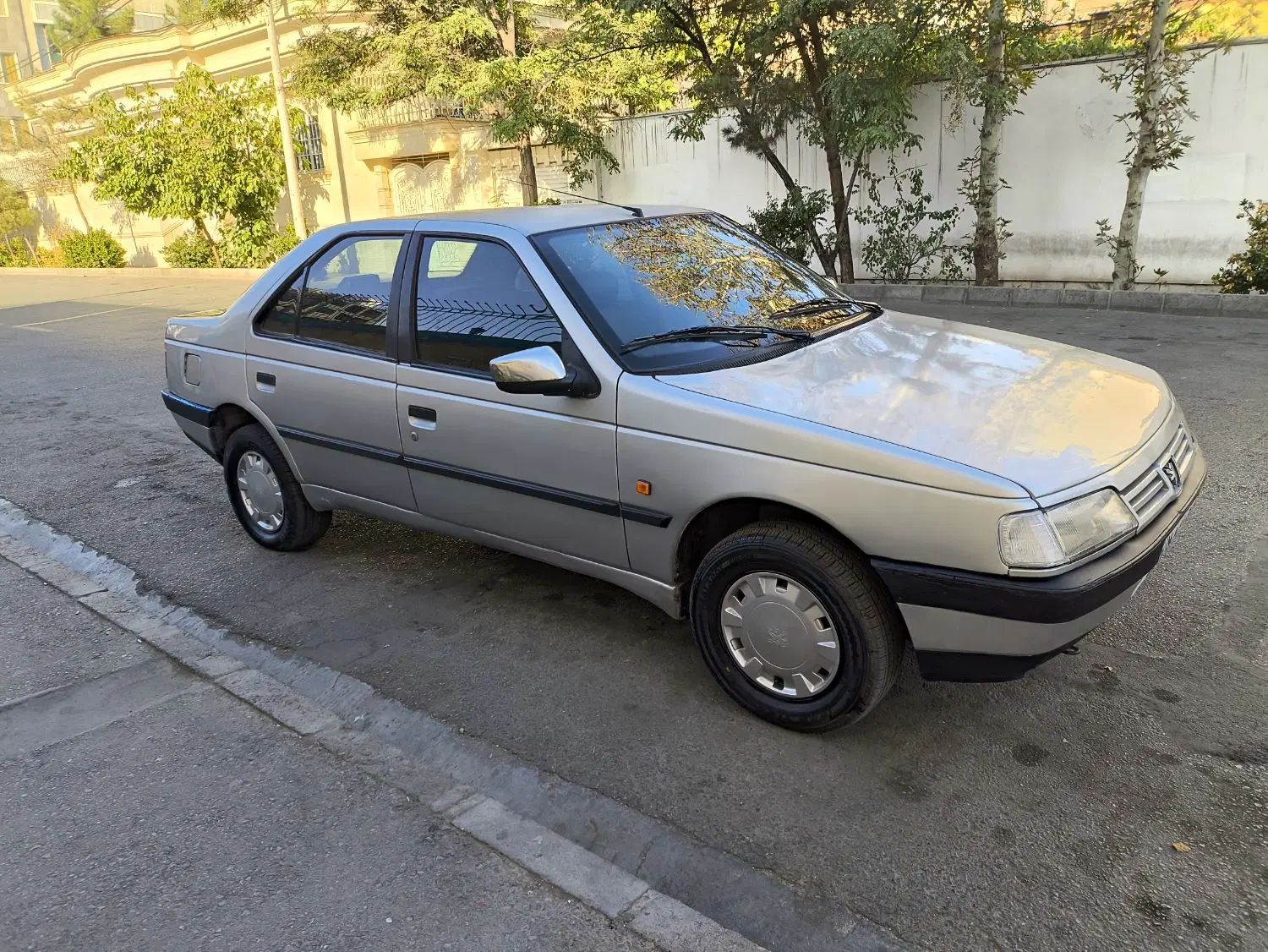 پژو 405 GLX - دوگانه سوز - 1388