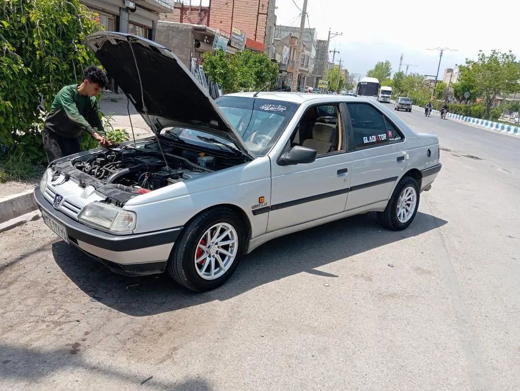 پژو 405 GLX - دوگانه سوز - 1393
