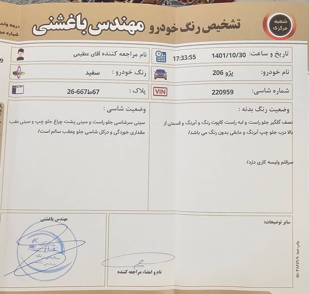 پژو 206 تیپ 2 - 1394