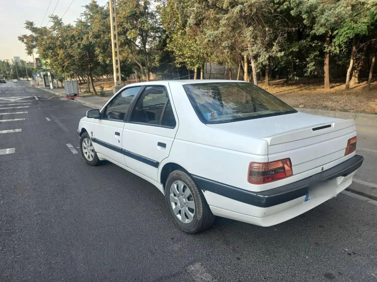پژو 405 SLX بنزینی TU5 - 1391