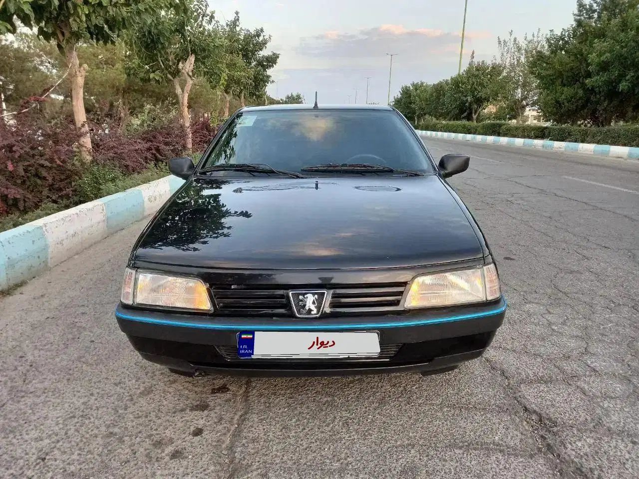 پژو 405 GLX - دوگانه سوز - 1389