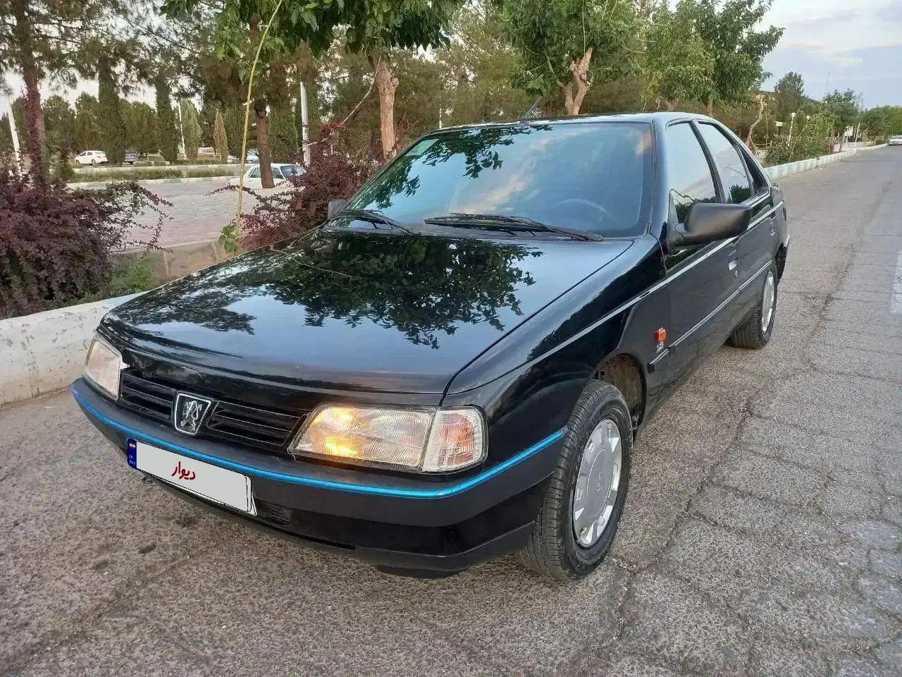 پژو 405 GLX - دوگانه سوز - 1389