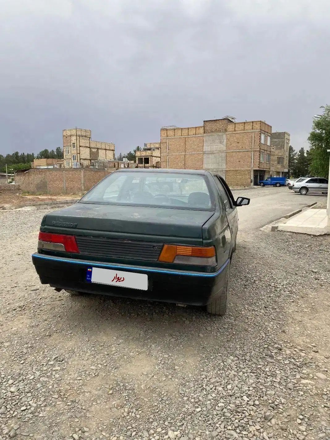 پژو آردی دوگانه سوز CNG - 1381