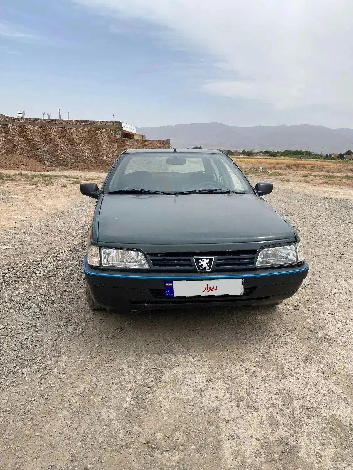 پژو آردی دوگانه سوز CNG - 1381