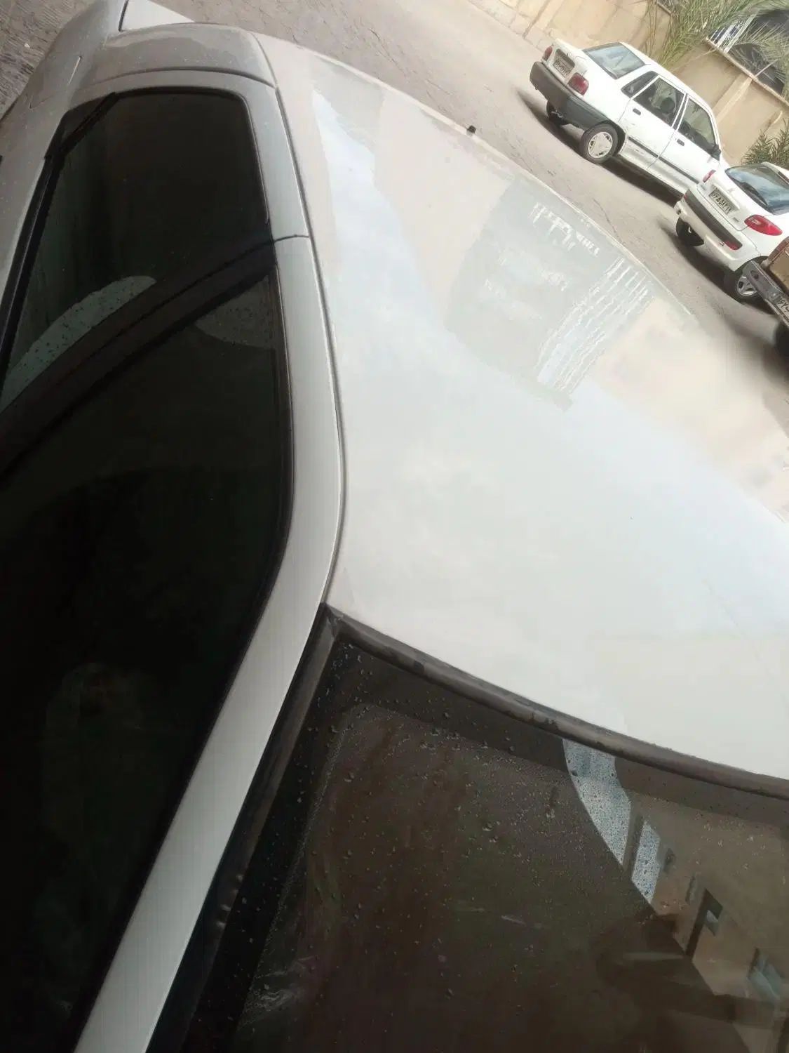 سیتروئن زانتیا SX - 1387