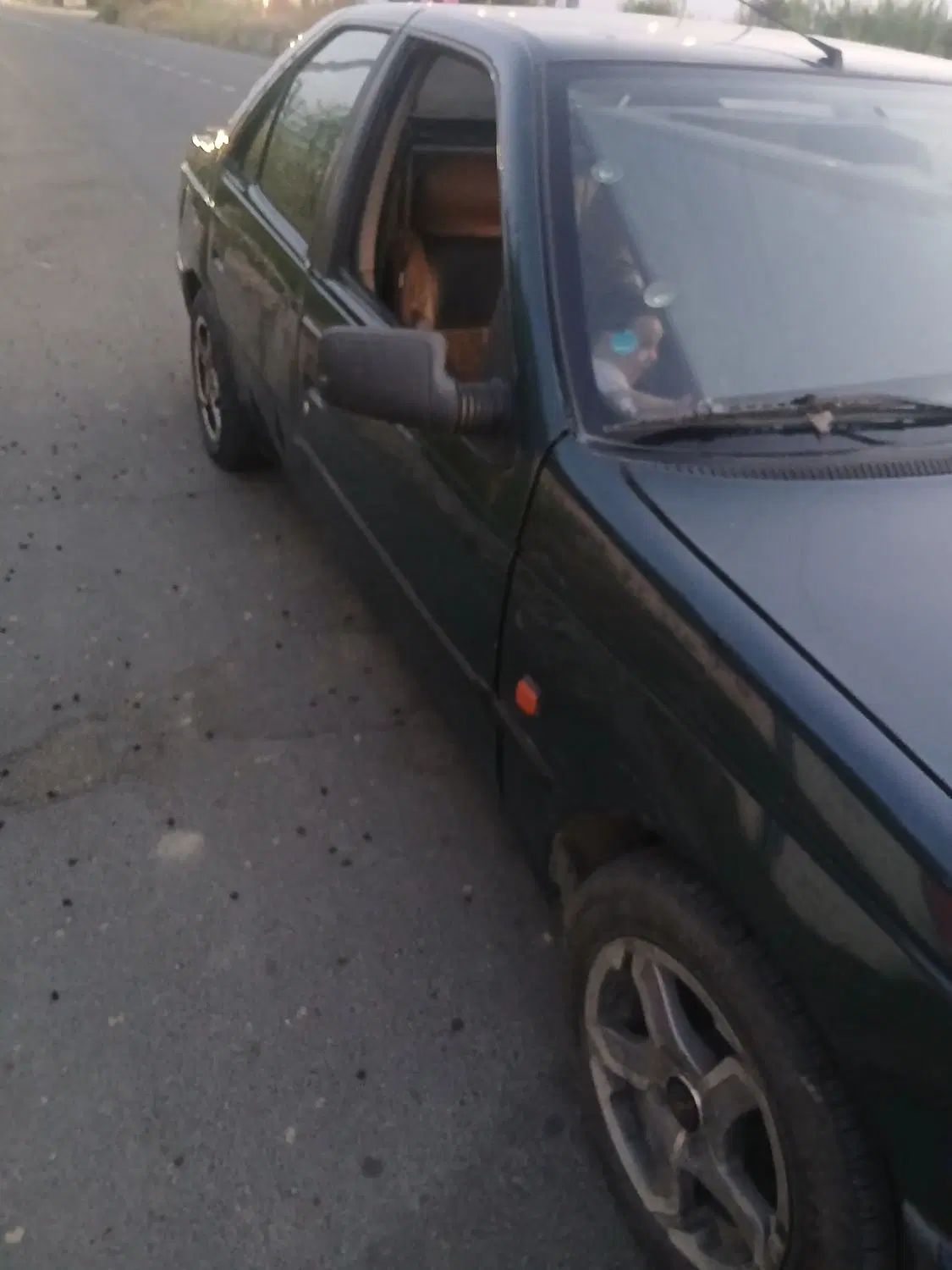 پژو آردی دوگانه سوز CNG - 1384