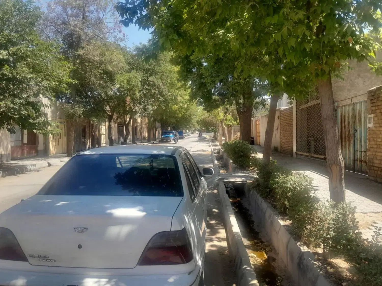 دوو سیلو سدان - 1381