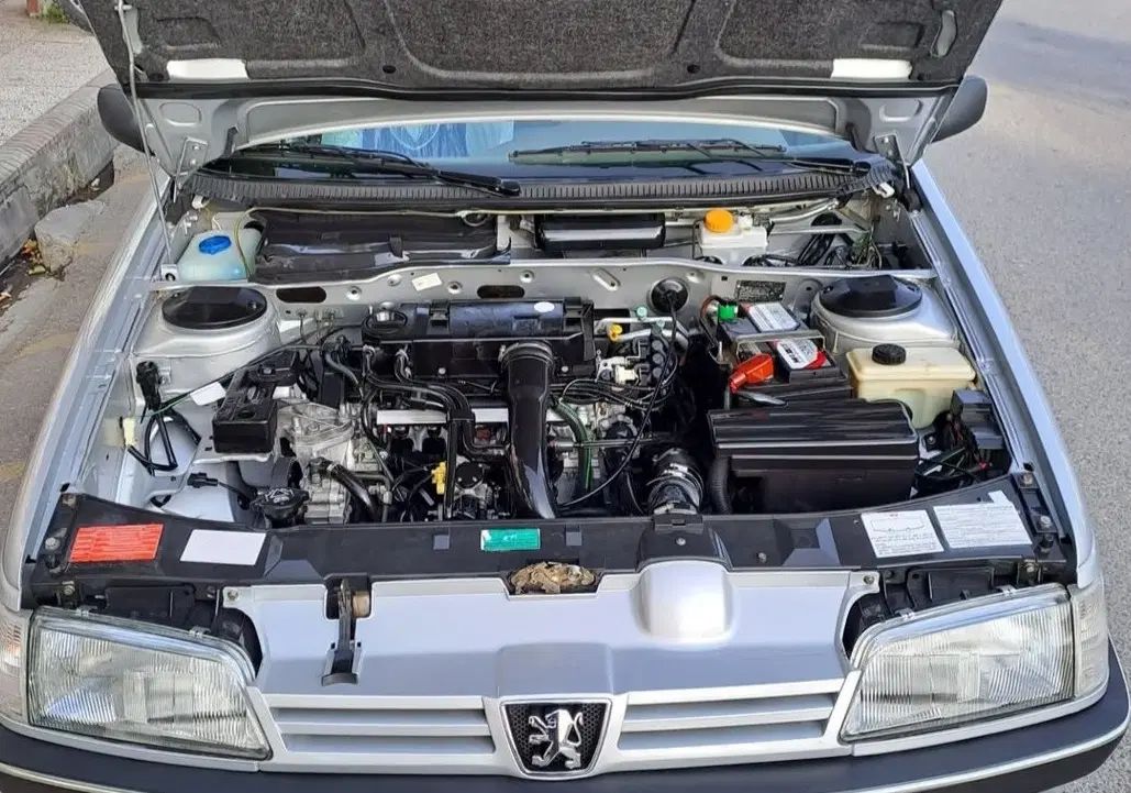 پژو 405 GLX - 1391