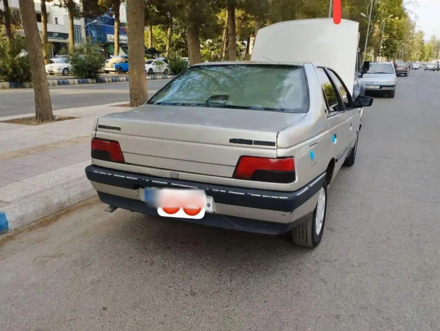 پژو 405 GLX - 1384