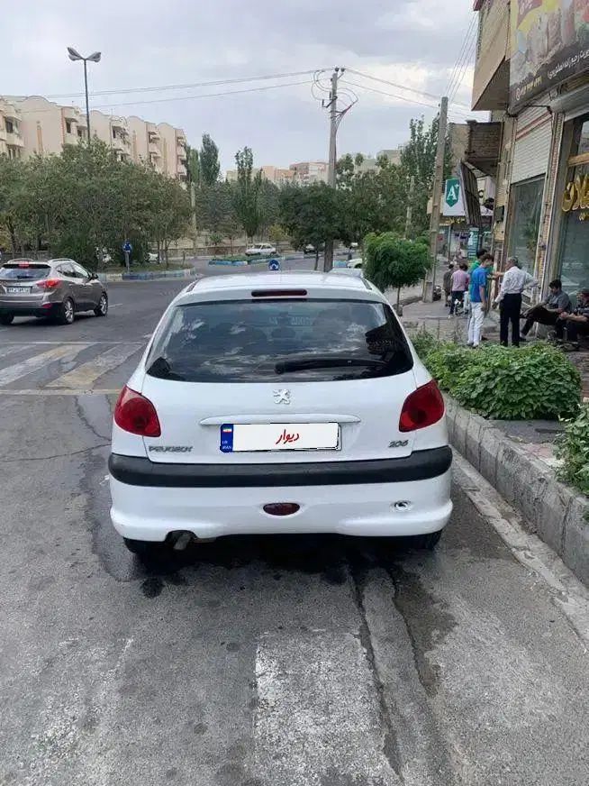 پژو 206 تیپ 2 - 1391