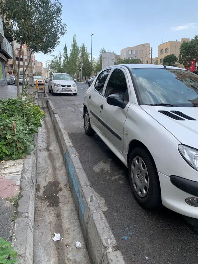 پژو 206 تیپ 2 - 1391