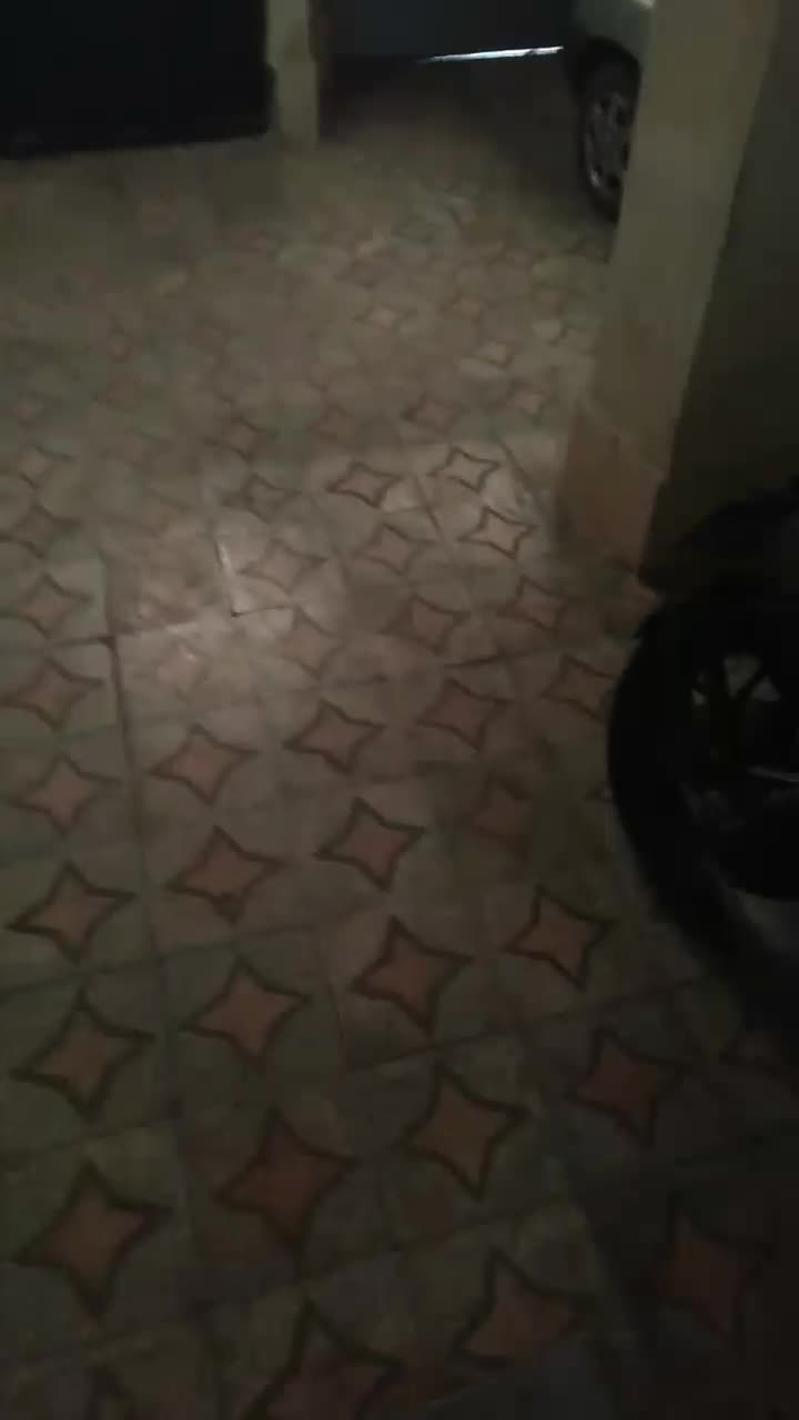 خودرو پراید، 141 آگهی ann_19936901