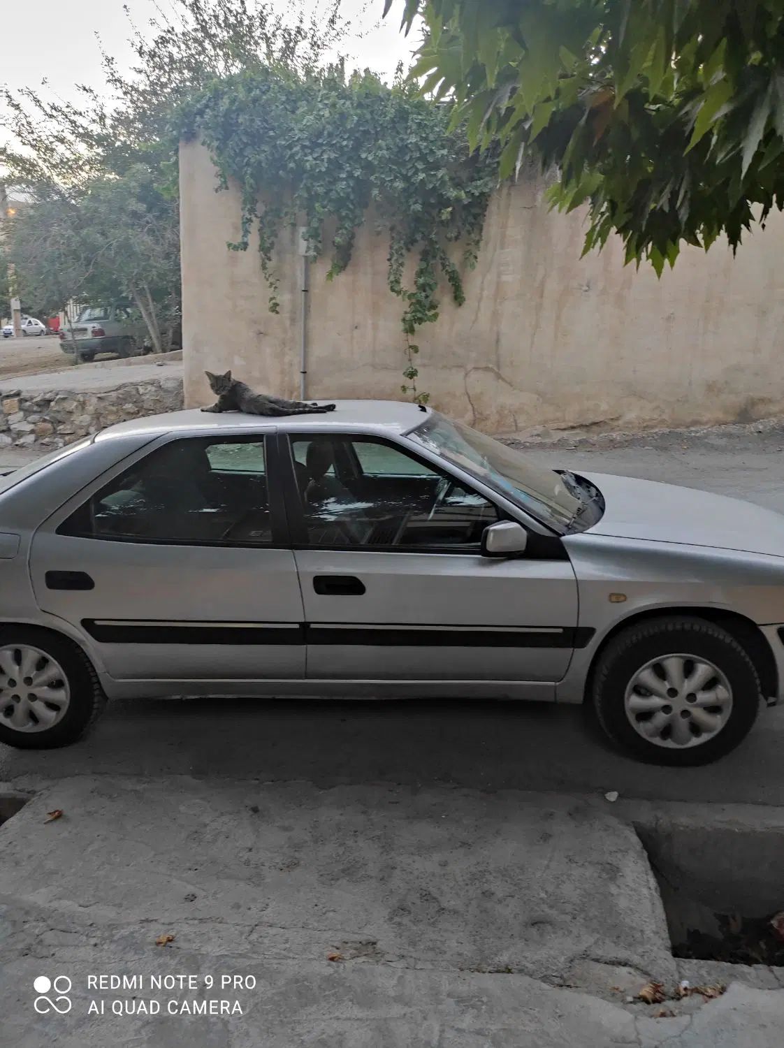 خودرو سیتروئن، زانتیا آگهی ann_19937850