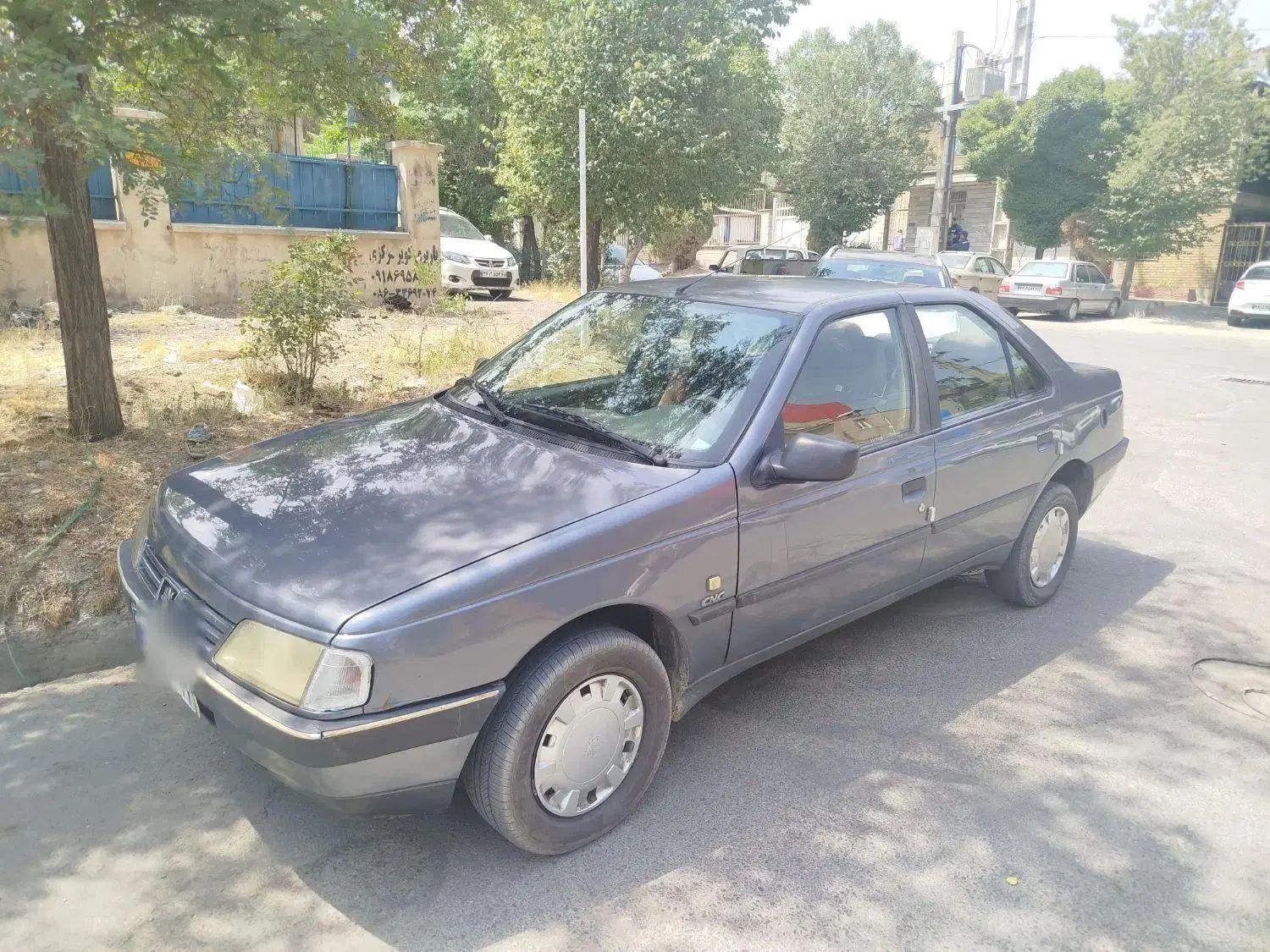 پژو 405 GLX - دوگانه سوز - 1395