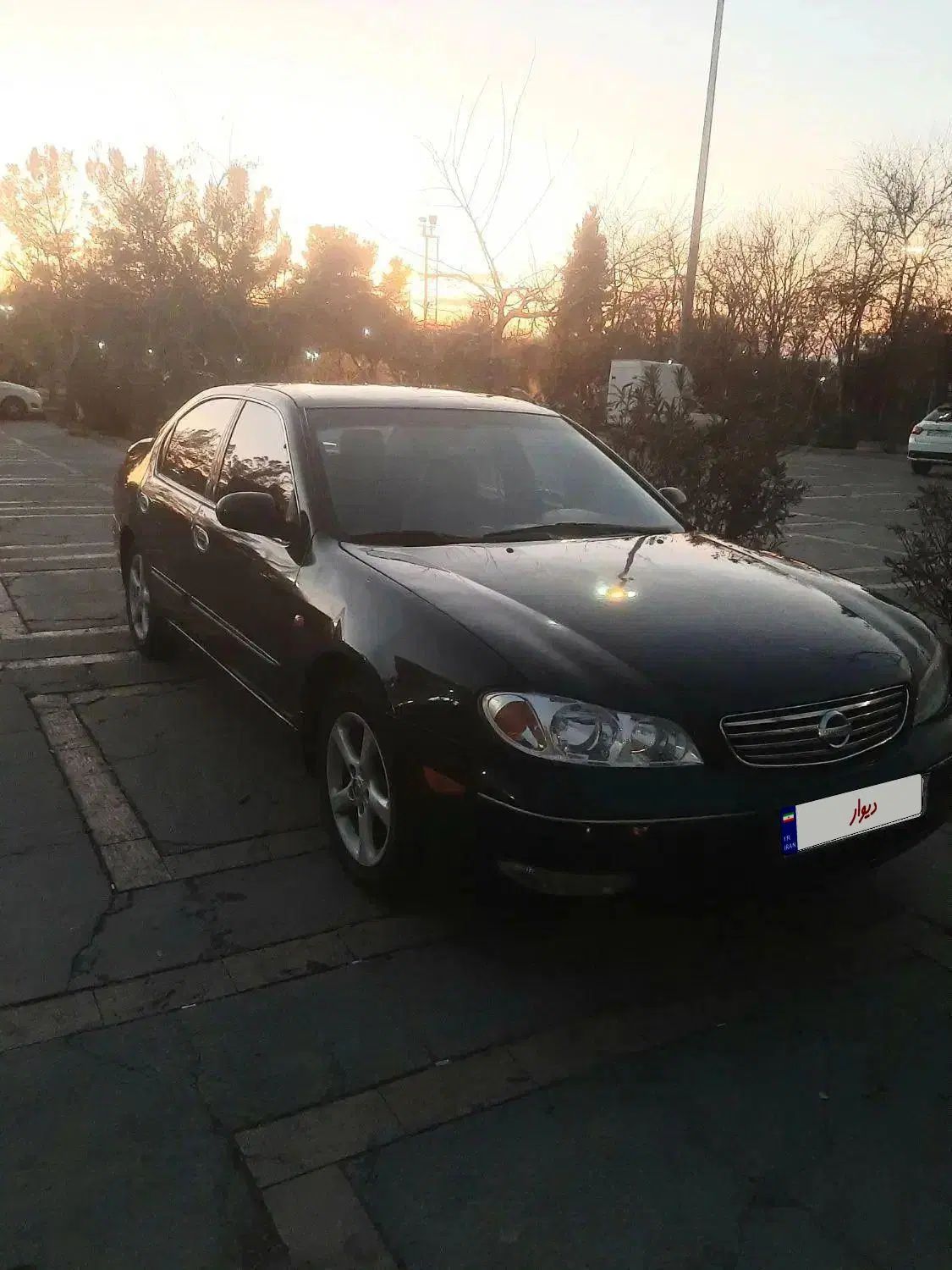 خودرو نیسان، ماکسیما آگهی ann_19939668
