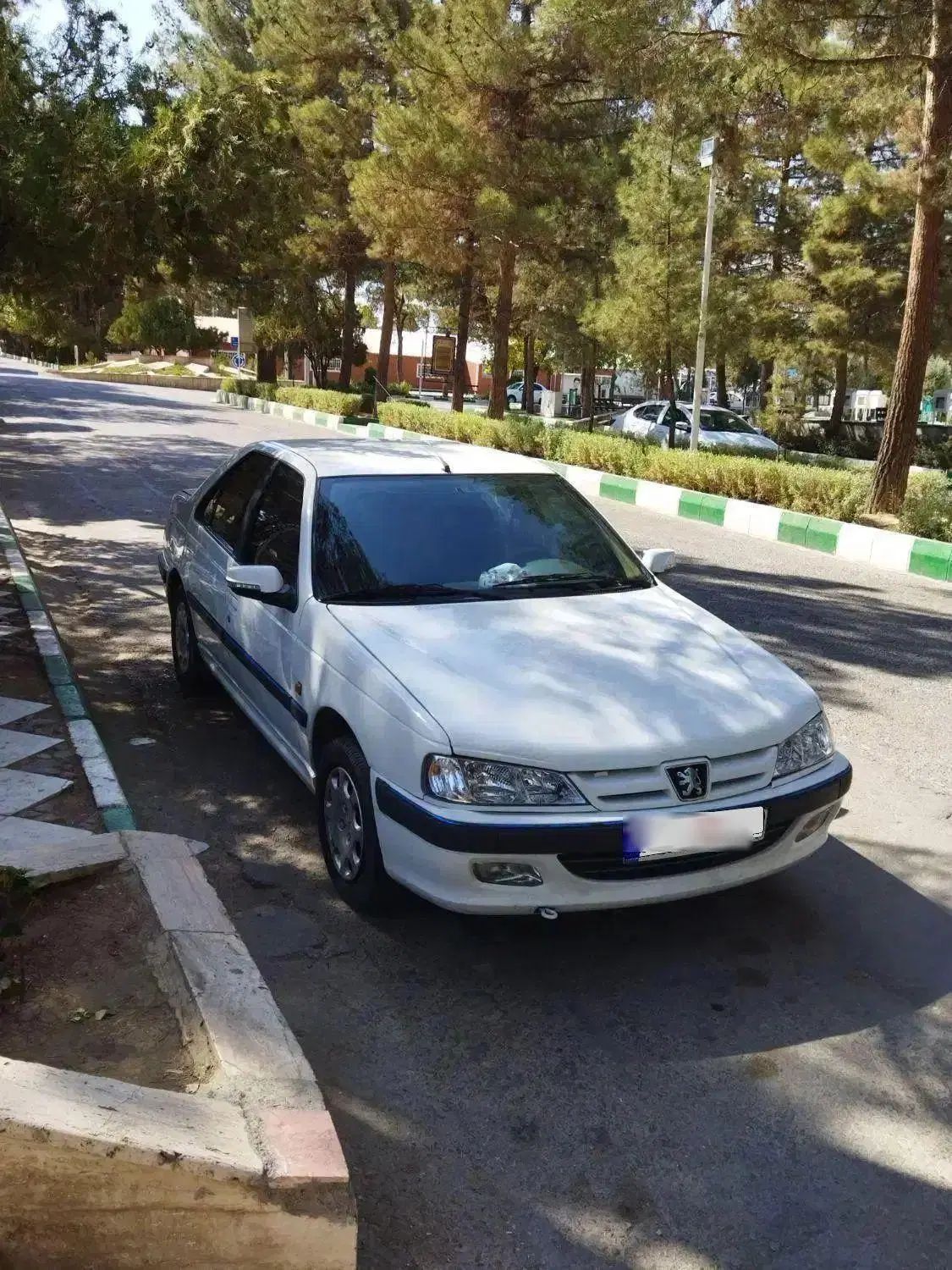 پژو پارس ELX-XU7P سفارشی - 1393
