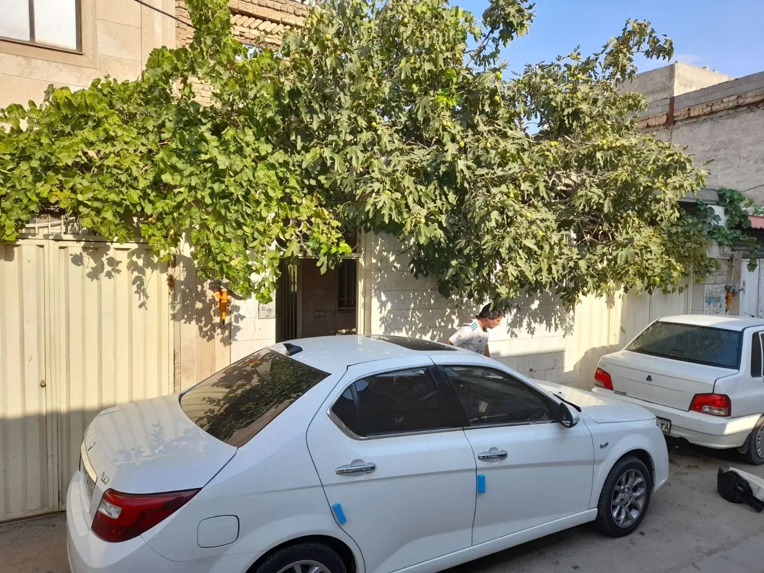 دنا پلاس توربو اتوماتیک - 1401