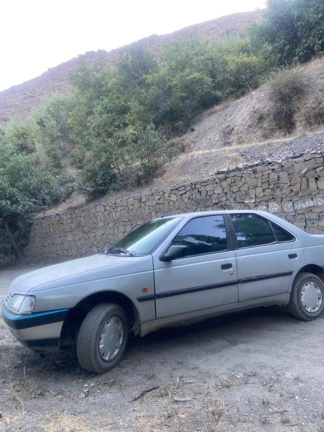 پژو 405 GLX - 1388
