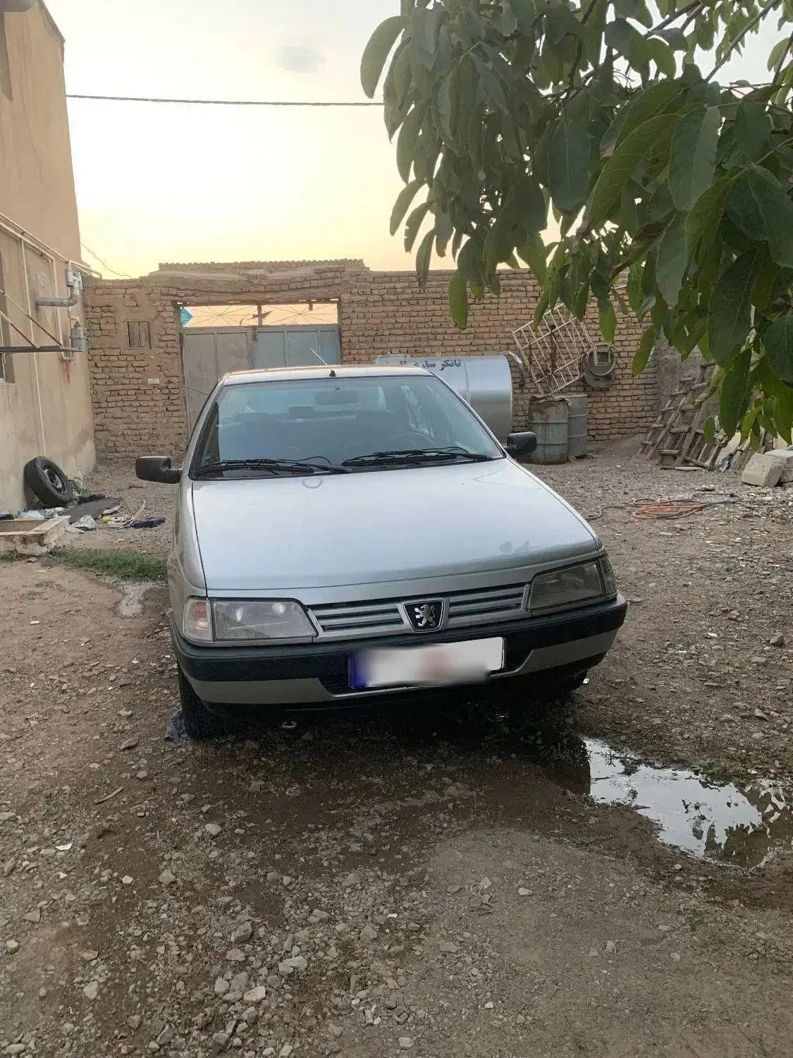 پژو 405 GLX - دوگانه سوز - 1389