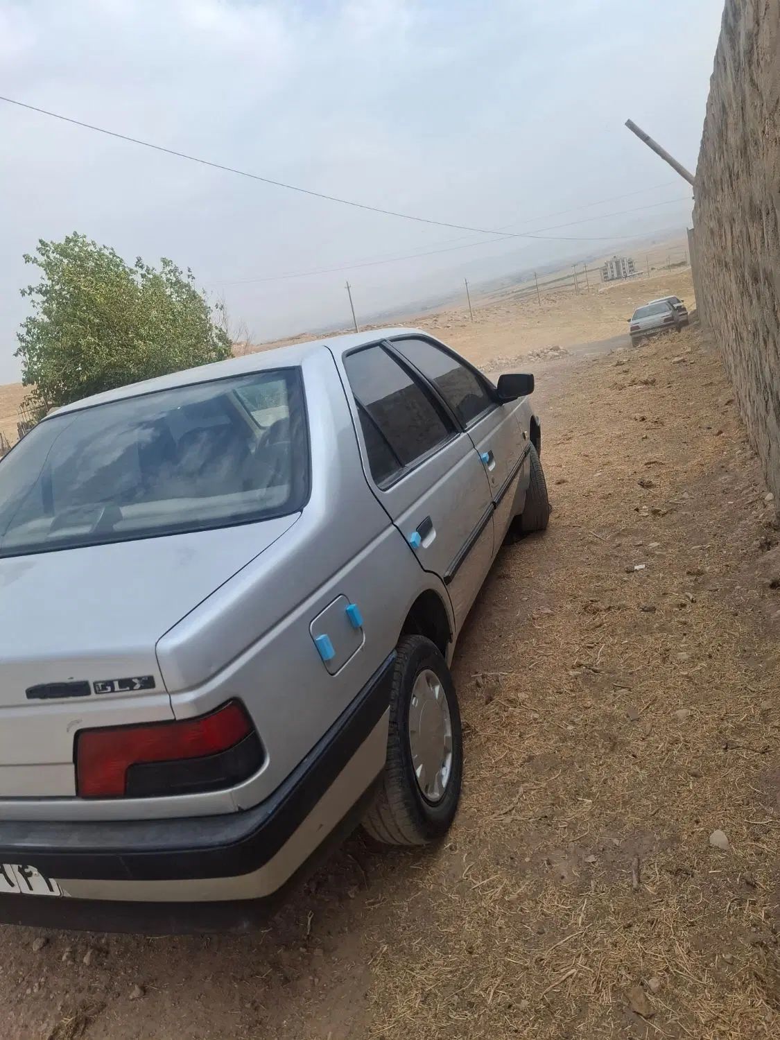 پژو 405 GLX - دوگانه سوز - 1395