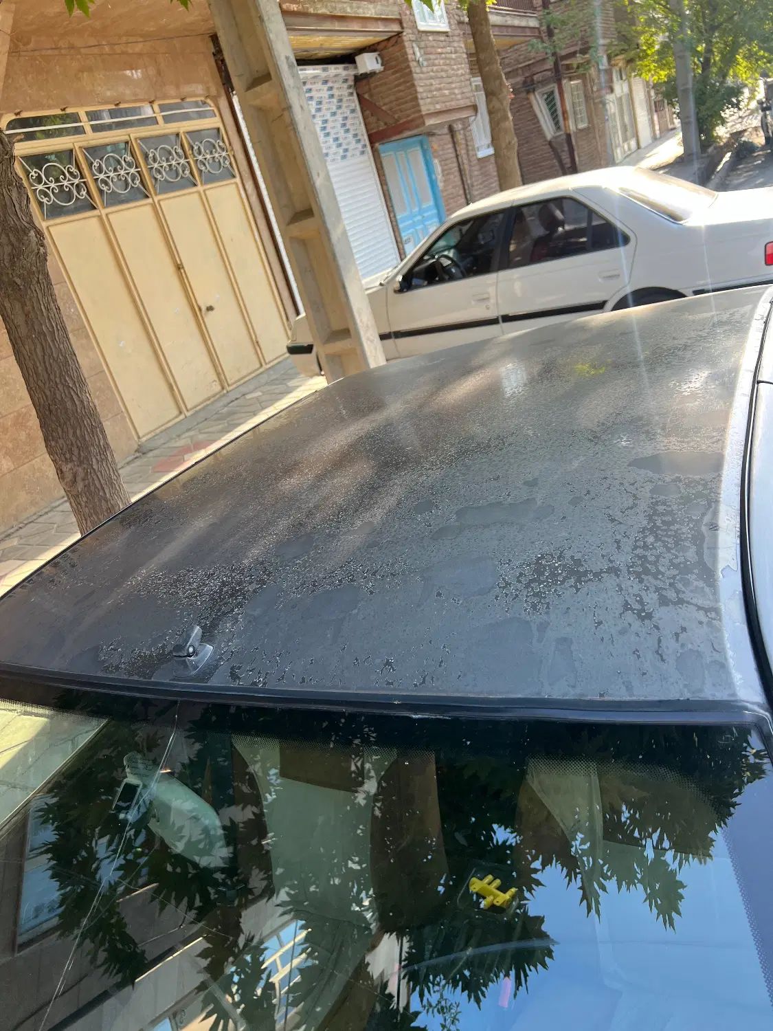پژو روآ دوگانه سوز - 1386