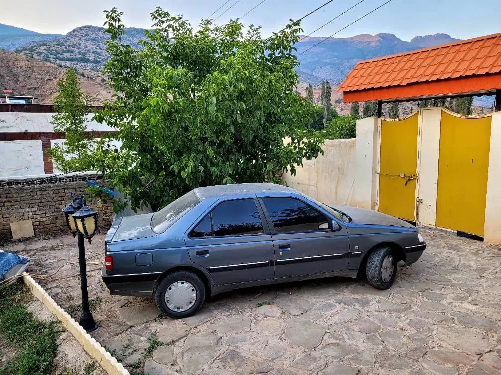 پژو 405 SLX بنزینی TU5 - 1394
