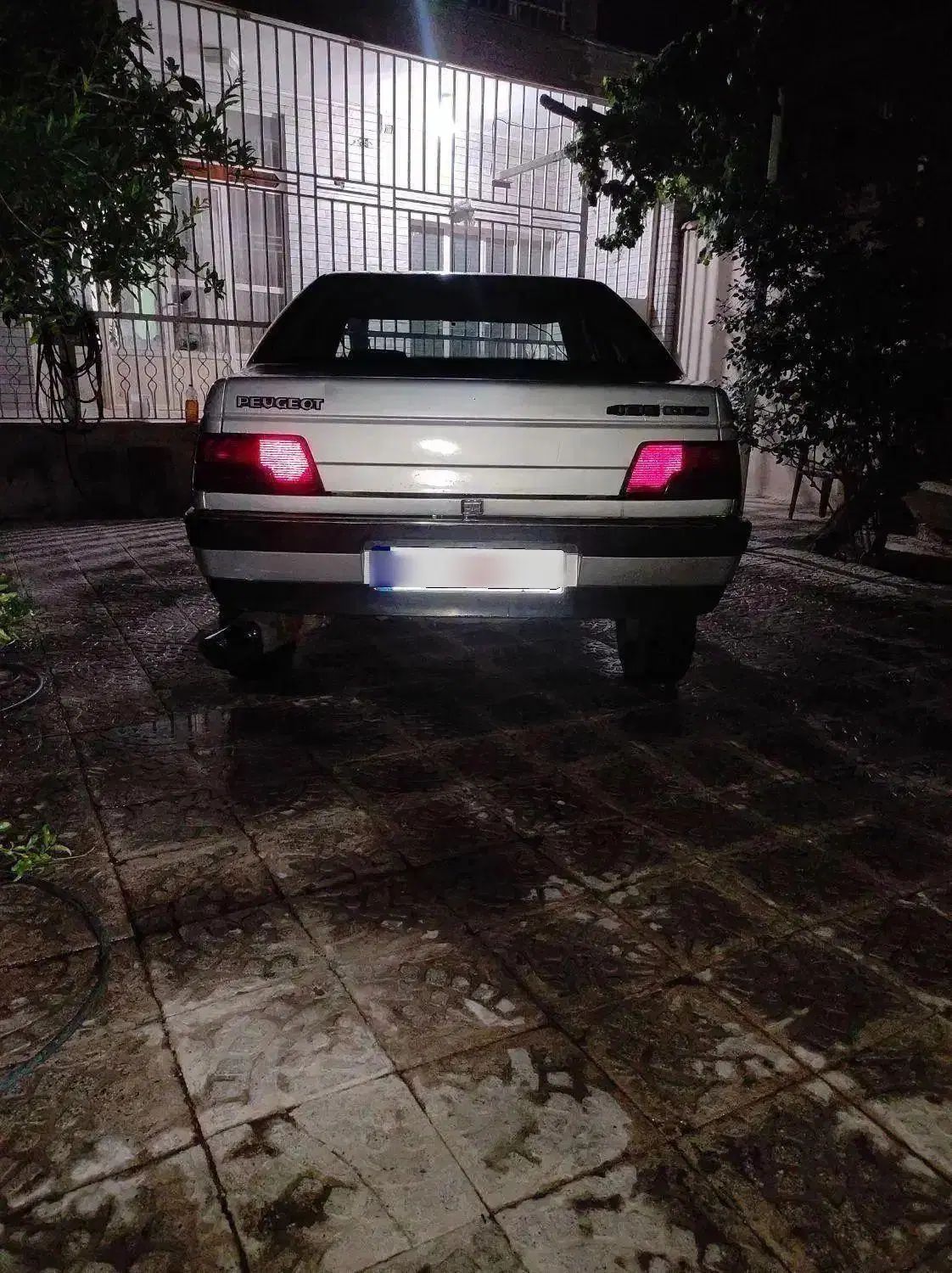 پژو 405 GLX - دوگانه سوز - 1389