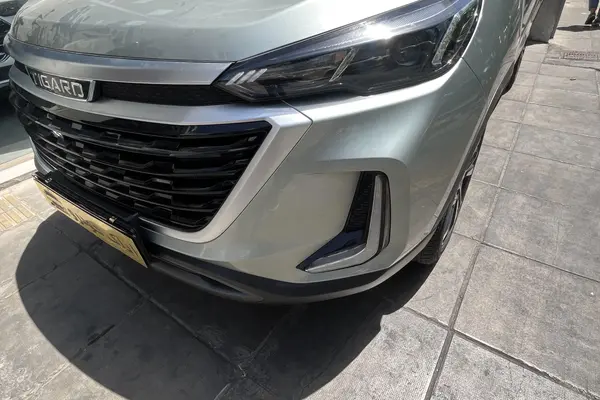 تیگارد X35 ساده - 1404