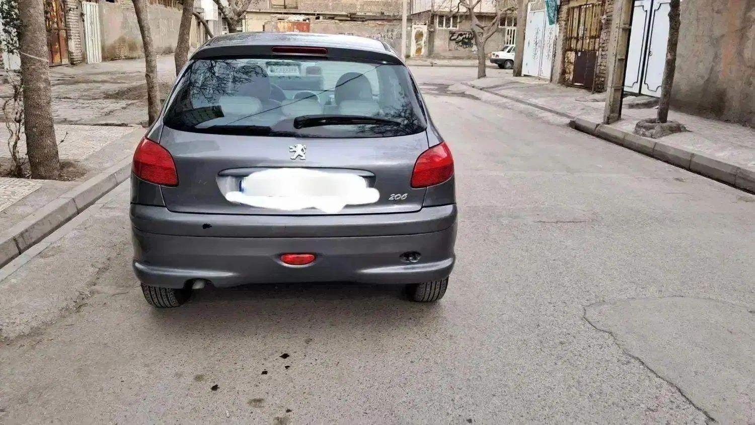 پژو 206 تیپ 2 - 1389