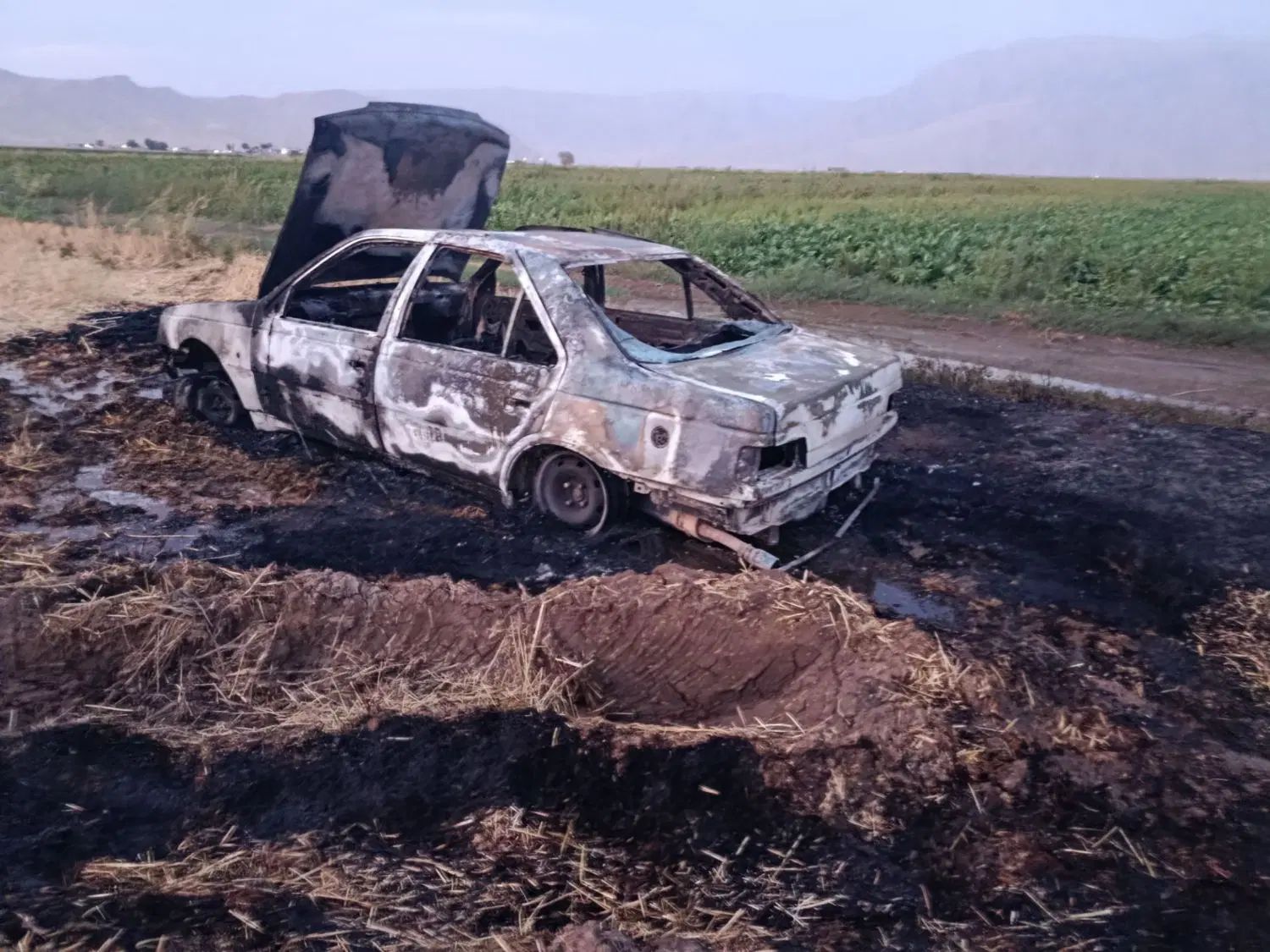 پژو 405 GLI - دوگانه سوز CNG - 1387