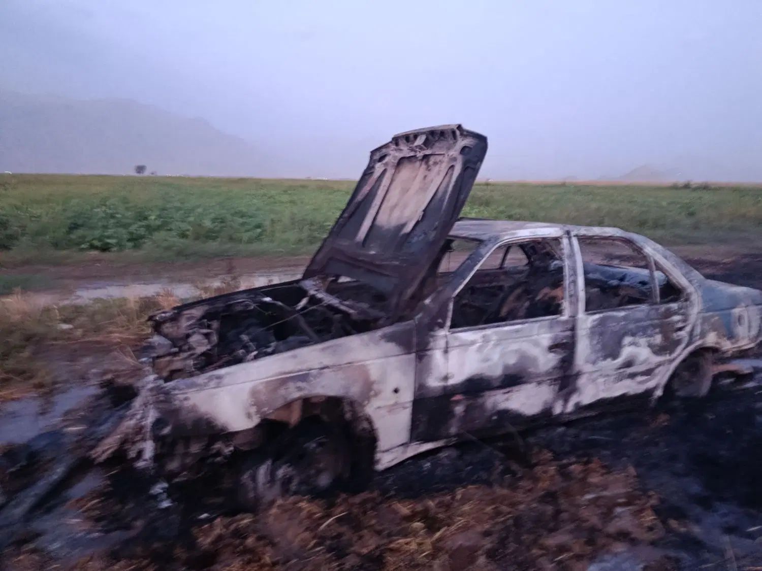 پژو 405 GLI - دوگانه سوز CNG - 1387