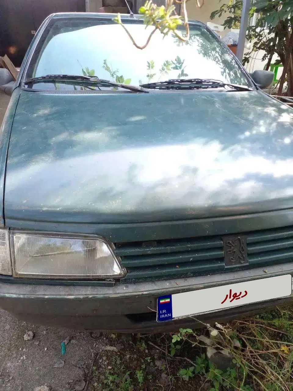 پژو آردی دوگانه سوز CNG - 1384