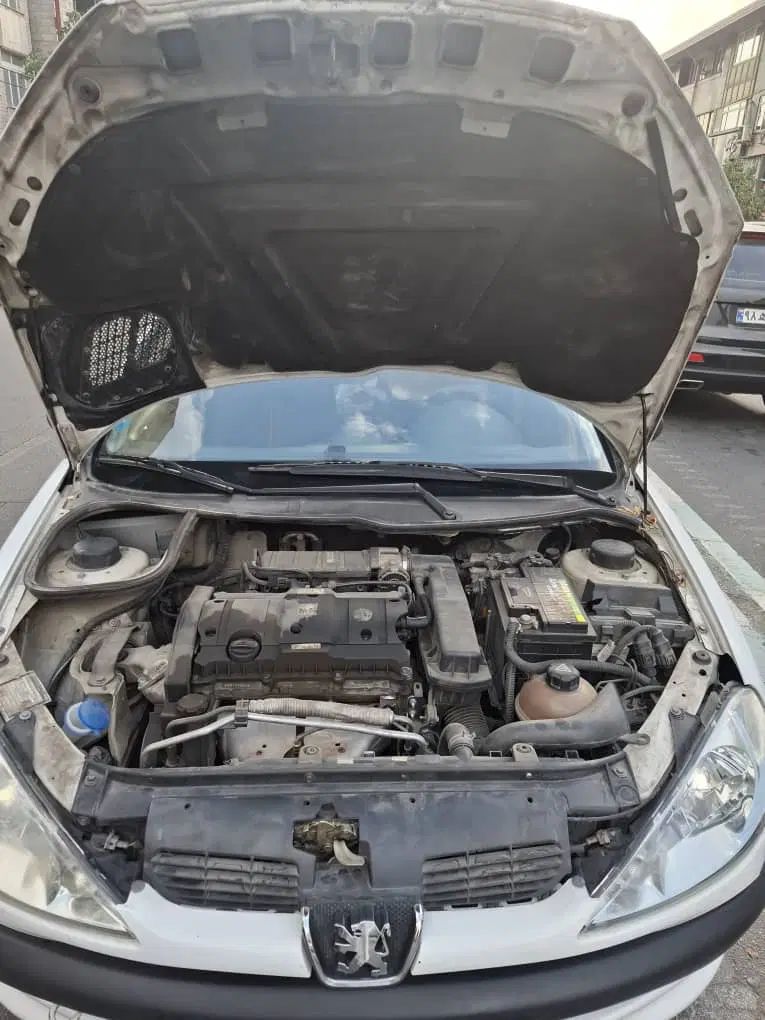 پژو ۲۰۶ صندوق دار v8 - 1395