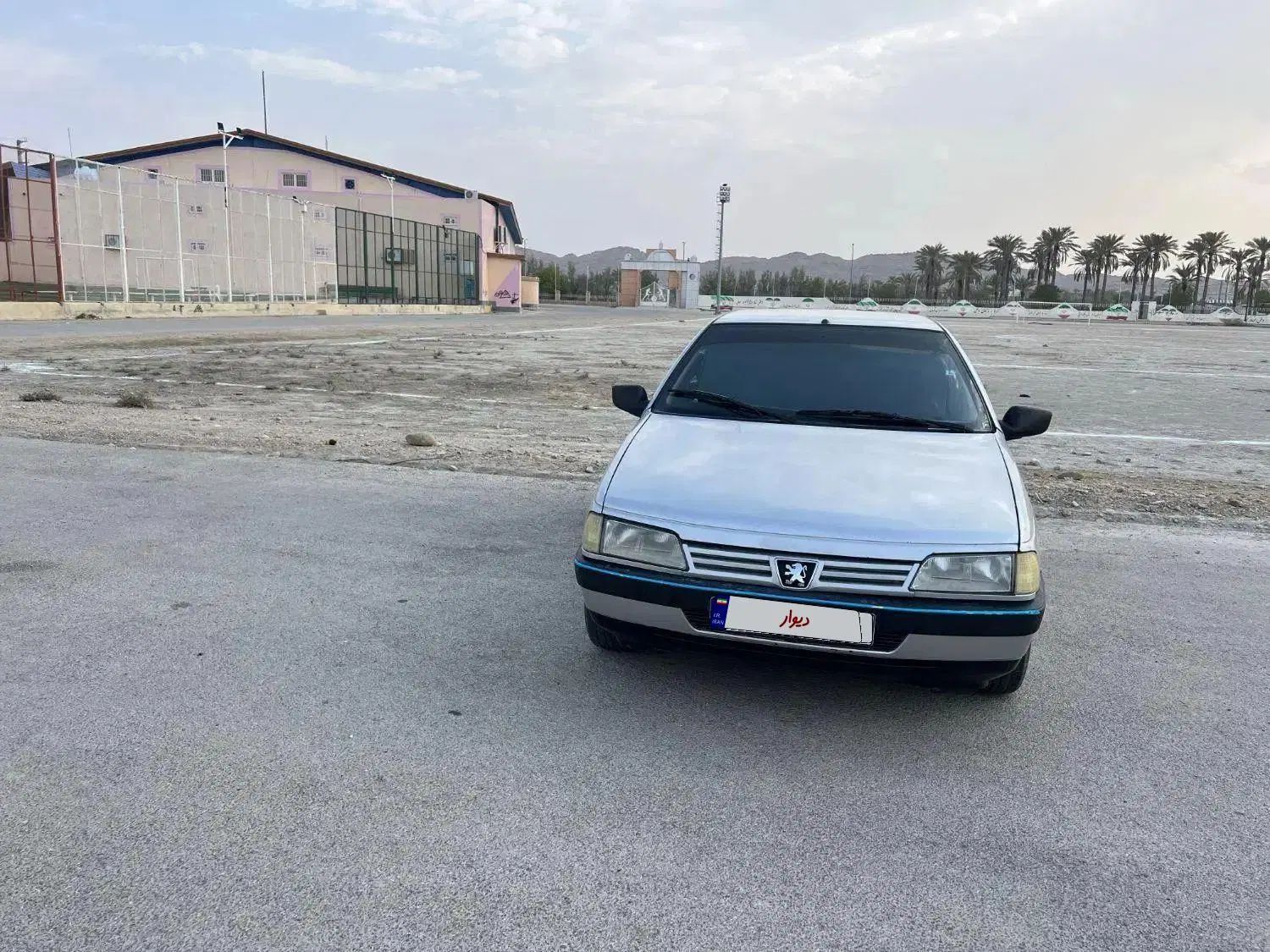 پژو 405 GLX - دوگانه سوز - 1391
