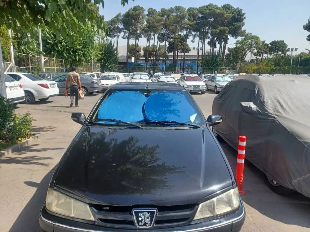 پژو پارس ELX-XU7P سفارشی - 1391