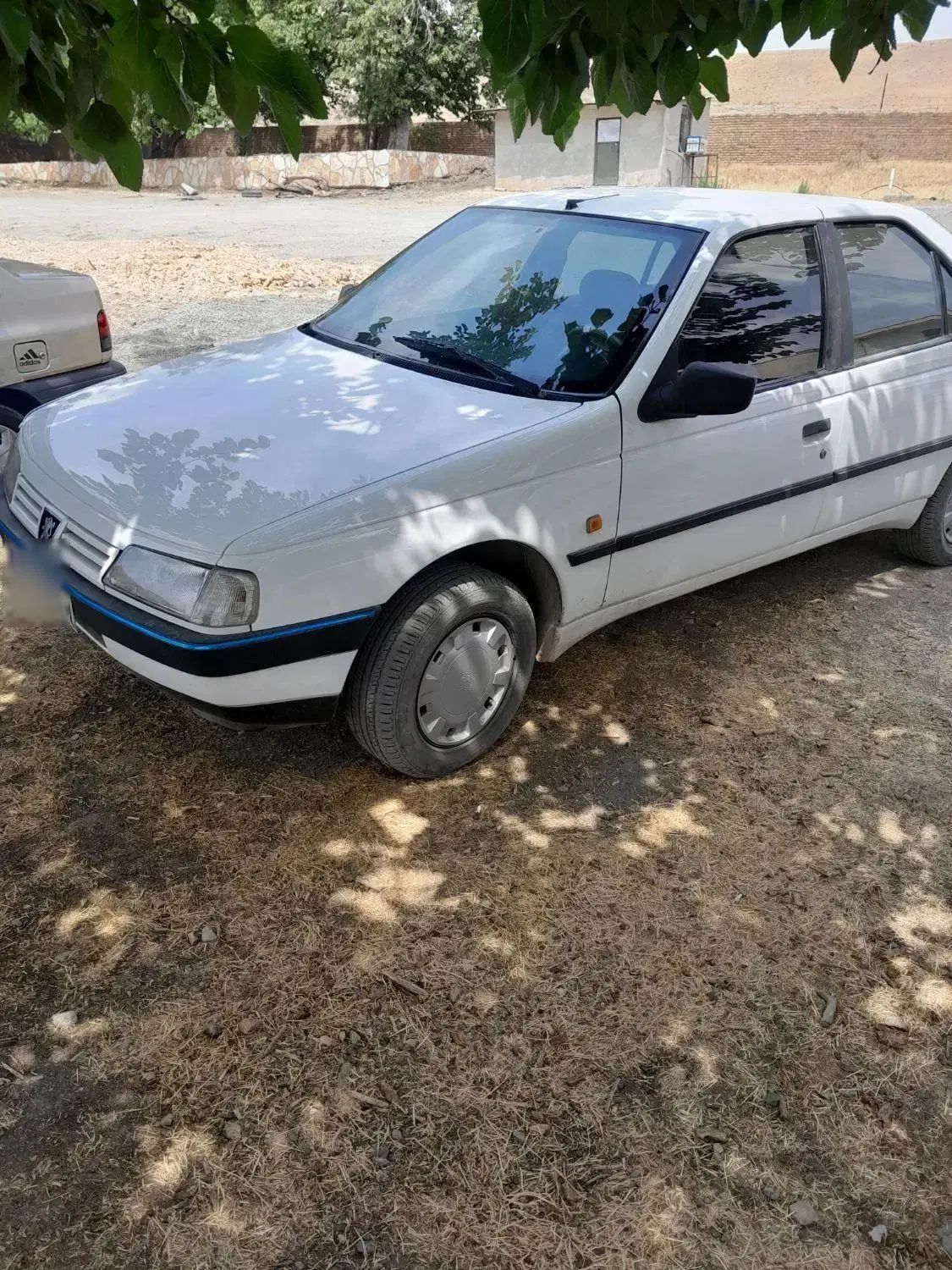 پژو 405 GLX - دوگانه سوز - 1394