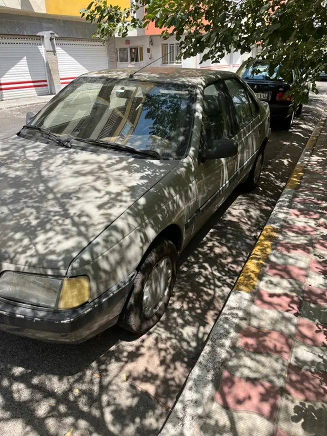 پژو آردی دوگانه سوز CNG - 1383