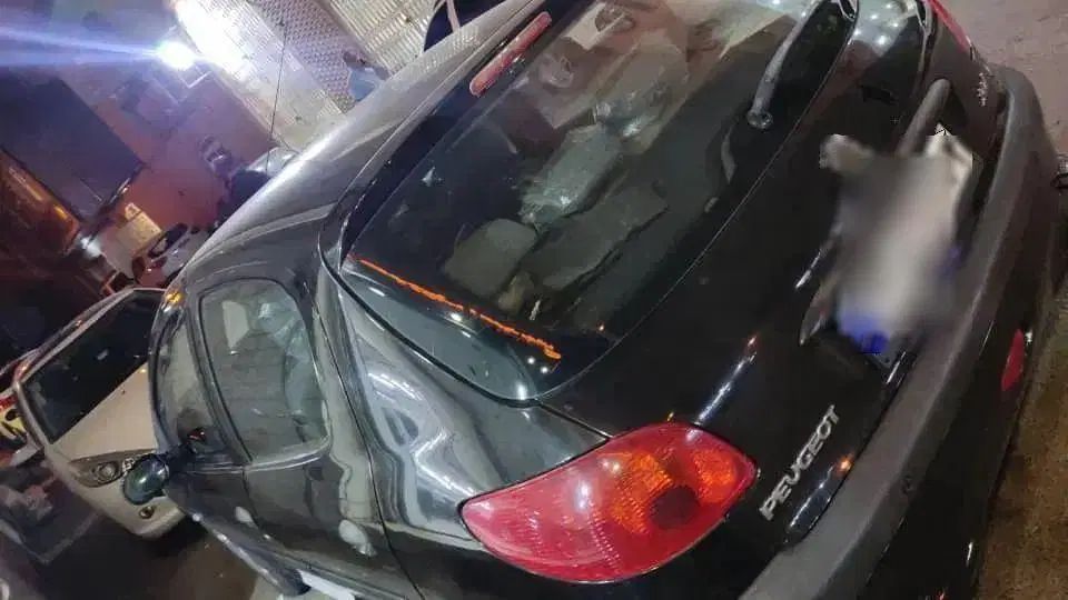 خودرو پژو، 206 آگهی ann_19953533